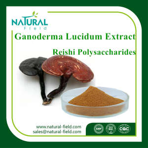 Manufacturer Provide Best Ganoderma Lucidum Extract 